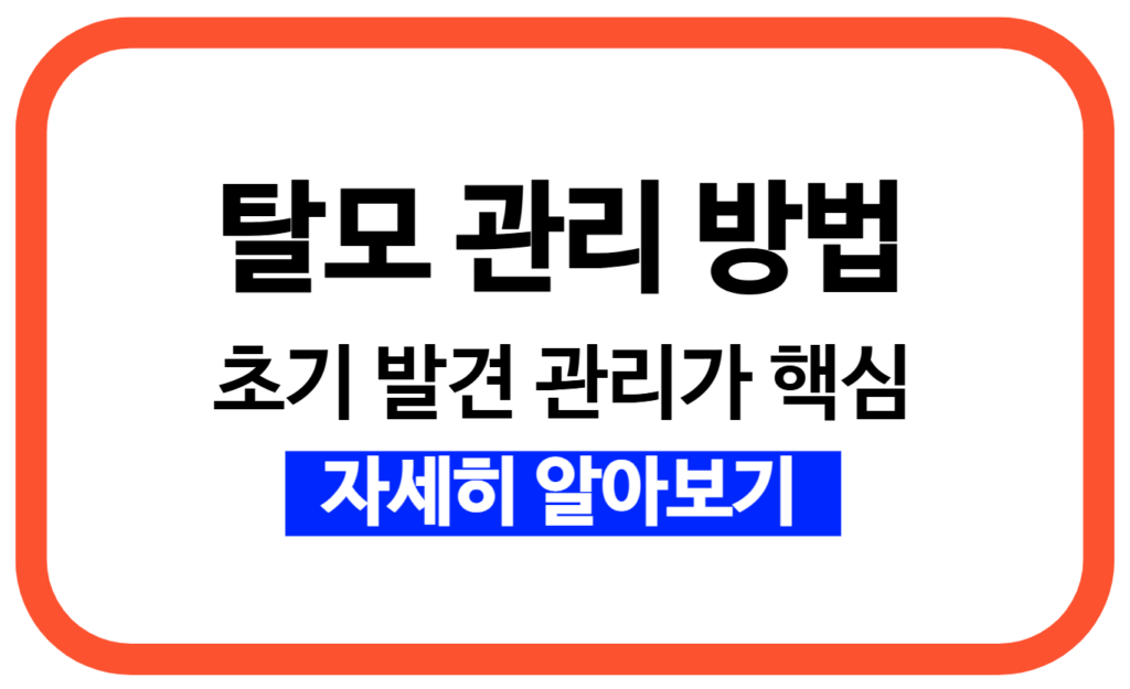 탈모 초기 증상 6가지와 효과적인 관리 방법 총정리